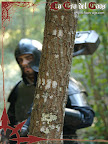 [Fira Bosc Medieval Dosrius]