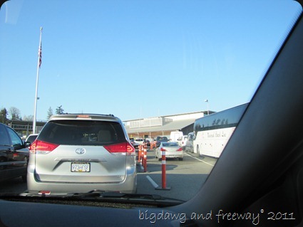 IMG_5709 IMG_5709