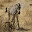 safari_2789.JPG