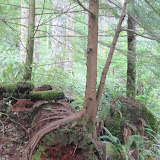 IMG_1545.JPG