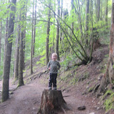 IMG_1569.JPG