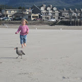 IMG_1677.JPG