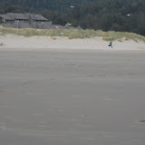 IMG_1726.JPG