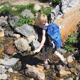 IMG_1135.JPG