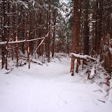 IMG_1290.JPG