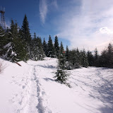 IMG_1280.JPG