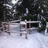 IMG_1287.JPG