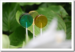 three lollipops with green leaves in the background and a white flower in the foreground