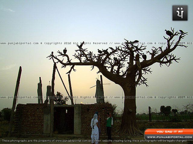 A sculptor which has been unfinished for last 6 years due to lack of funds.