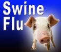 [swine-flu[4].jpg]