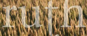 God's rich Tapestry of Grace