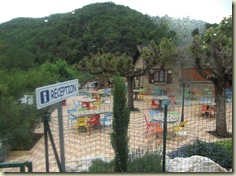 CIMG0357 CIMG0357