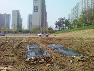 이家윤家농장