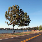creve coeur