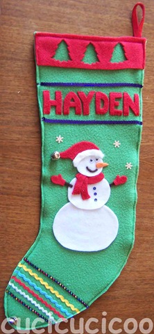 [haydenstocking6.jpg]