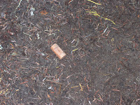 20090815_113849.JPG