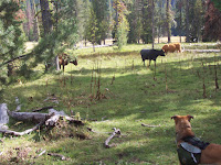 20090904_152426.JPG Photo