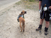 20090904_145837.JPG Photo