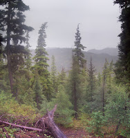 20090905_084000.jpg