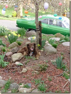 April2010 019
