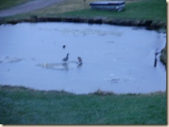 Dec2009 050