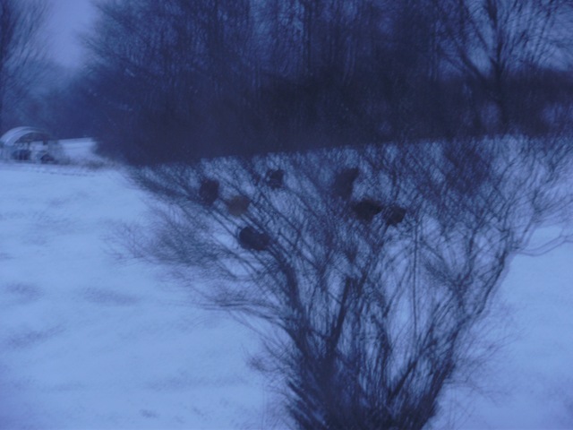 [Dec2009 054[2].jpg]