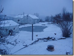 Dec2009 056