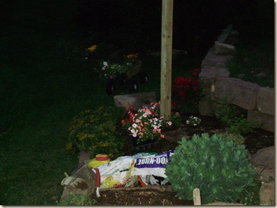 June2010 038