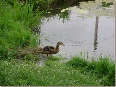 June2010 076