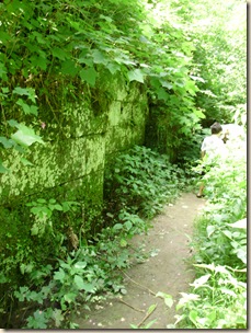 June2010 121