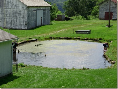 June2010 080
