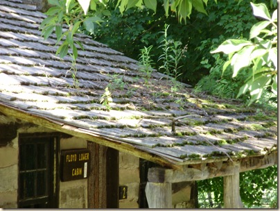 July2010 066