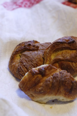 [Croissants licked by dog[3].jpg]