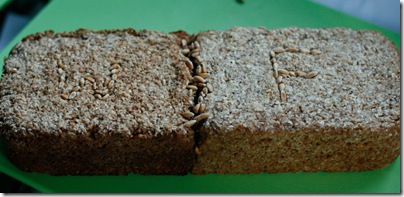 Wheat-Farro brick-01
