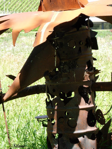 Photo%2020100269