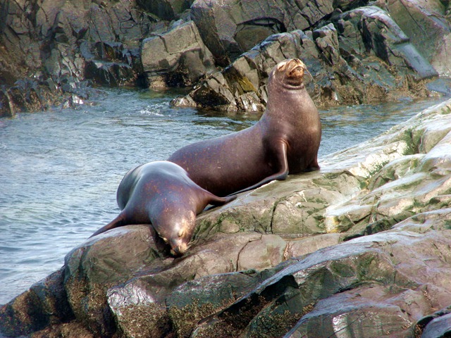 [ushuaia 068[4].jpg]