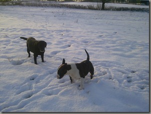 Photo0319
