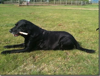 Wallace July '10