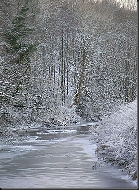 frozen milk2010 006 frozen milk2010 006