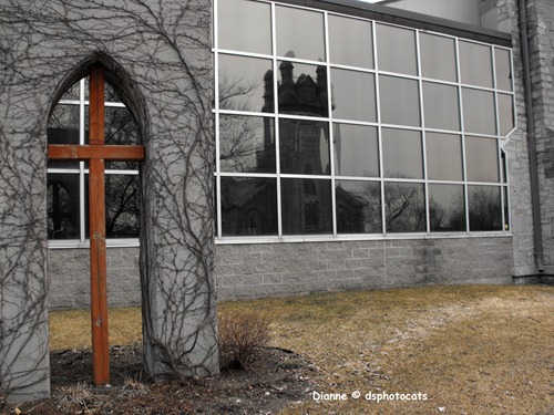 The Cross and The Church