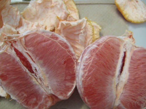 [grapefruit[5].jpg]