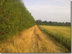 walk on Roman Road