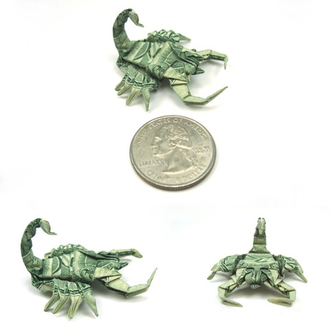 [New_pics__Dollar_Scorpion_by_orudorumagi11[3].jpg]