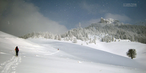 Poveste in Ciucas.