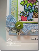 Thanks Sow Much Close Up Thanks Sow Much Close Up