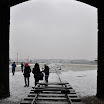 DSC_0171.jpg