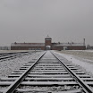 DSC_0186.jpg