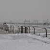 DSC_0218.jpg