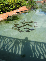 IMG_1477.JPG