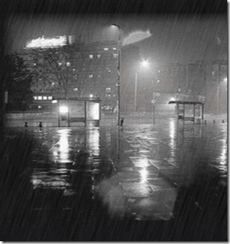 Rain_by_Ragdoll_x3